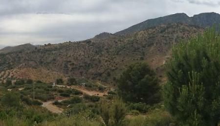 La Solana De Turon. El Pino Guest House Ardales Exterior photo